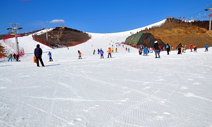 万龙八易滑雪场:雪场现已开发了两条初级雪道,两中级道,一条高级道,一